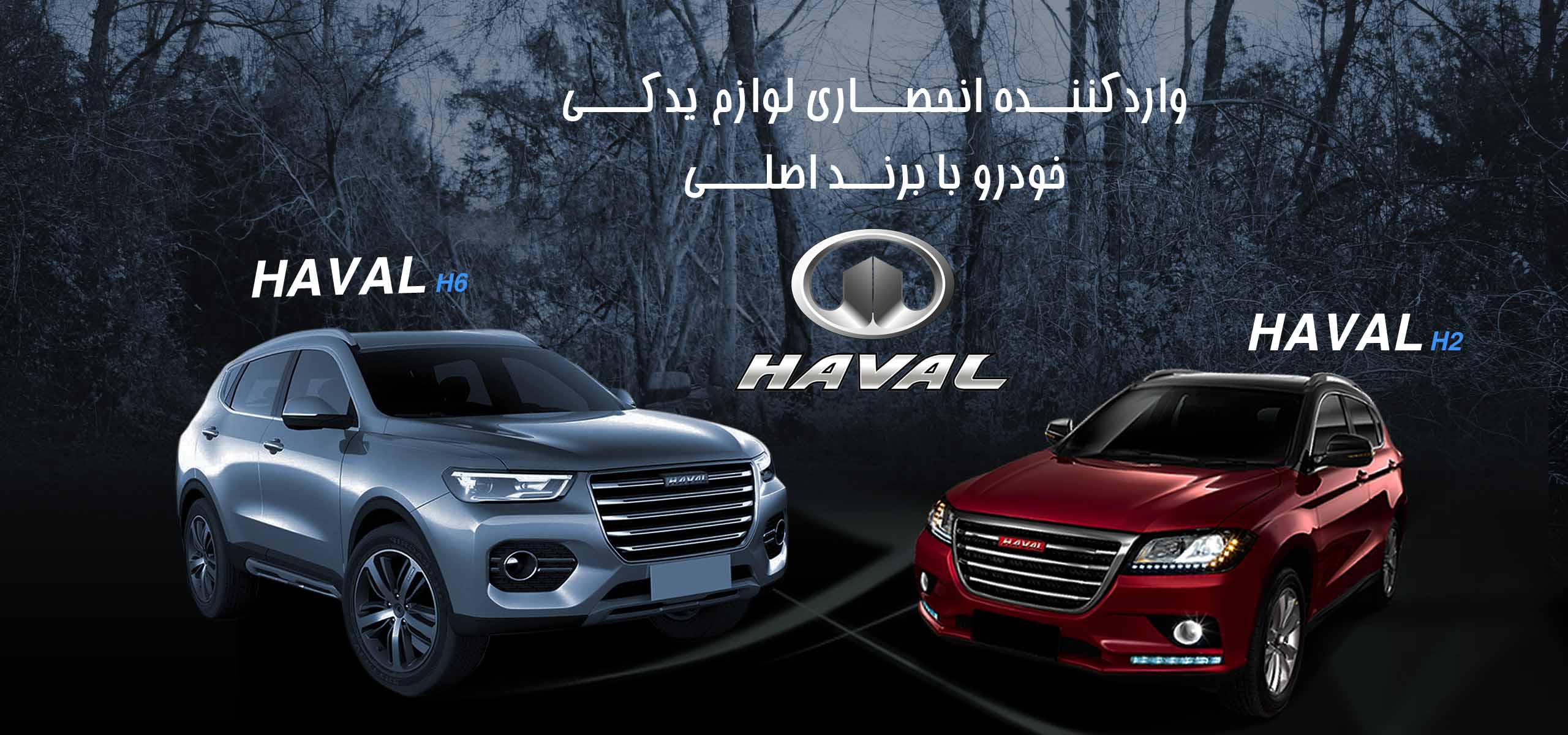 haval2