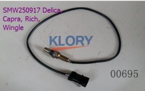 Front Wingel Sensor, Deliccle, Reich